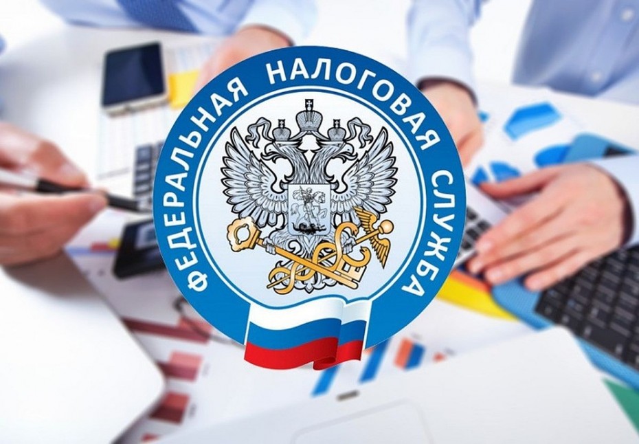 Информация из налоговой.