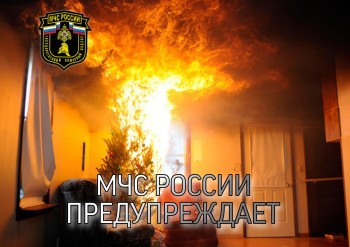 Правила пожарной безопасности при обращении с новогодней елкой..